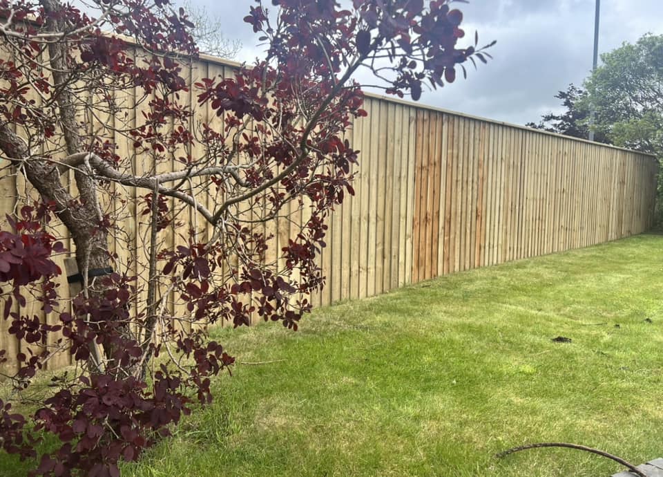 Timber Fencing - Horgan Timber Systems Pembrokeshire